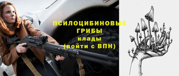 spice Алексин