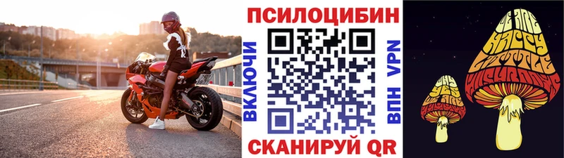 Галлюциногенные грибы Psilocybe  blacksprut зеркало  Беслан 