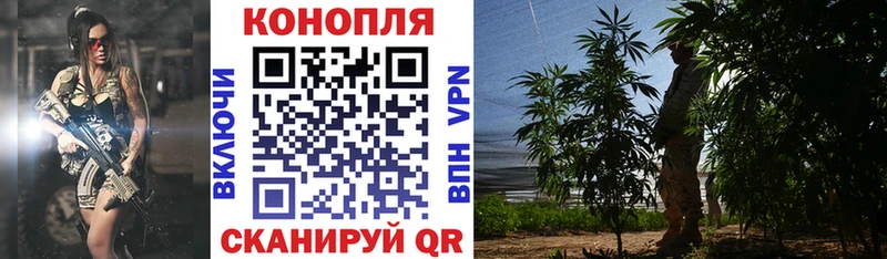 Бошки Шишки план  Беслан 